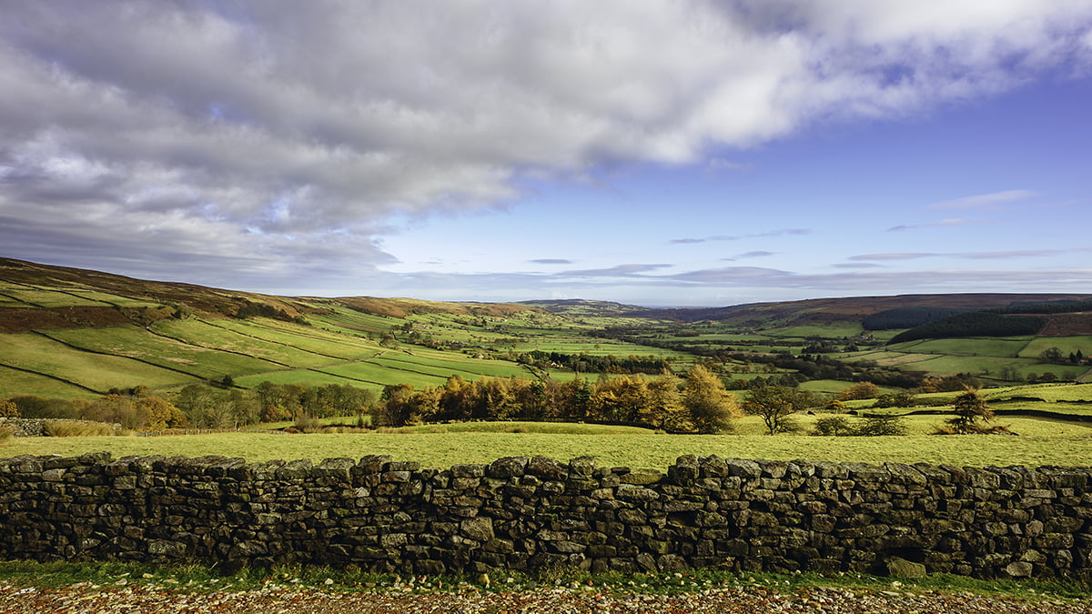 Glaisdale, Yorkshire, UK. The North York Moors National Park with a view of the vale of Glaisdale and a dry stone wall with fields and trees near Glaisdale, Yorkshire, UK. This image was taken in autumn.