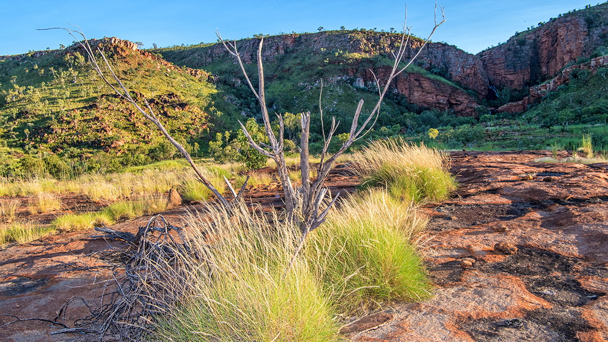 Quadrant Australia-Kimberley Ag-Landscape2