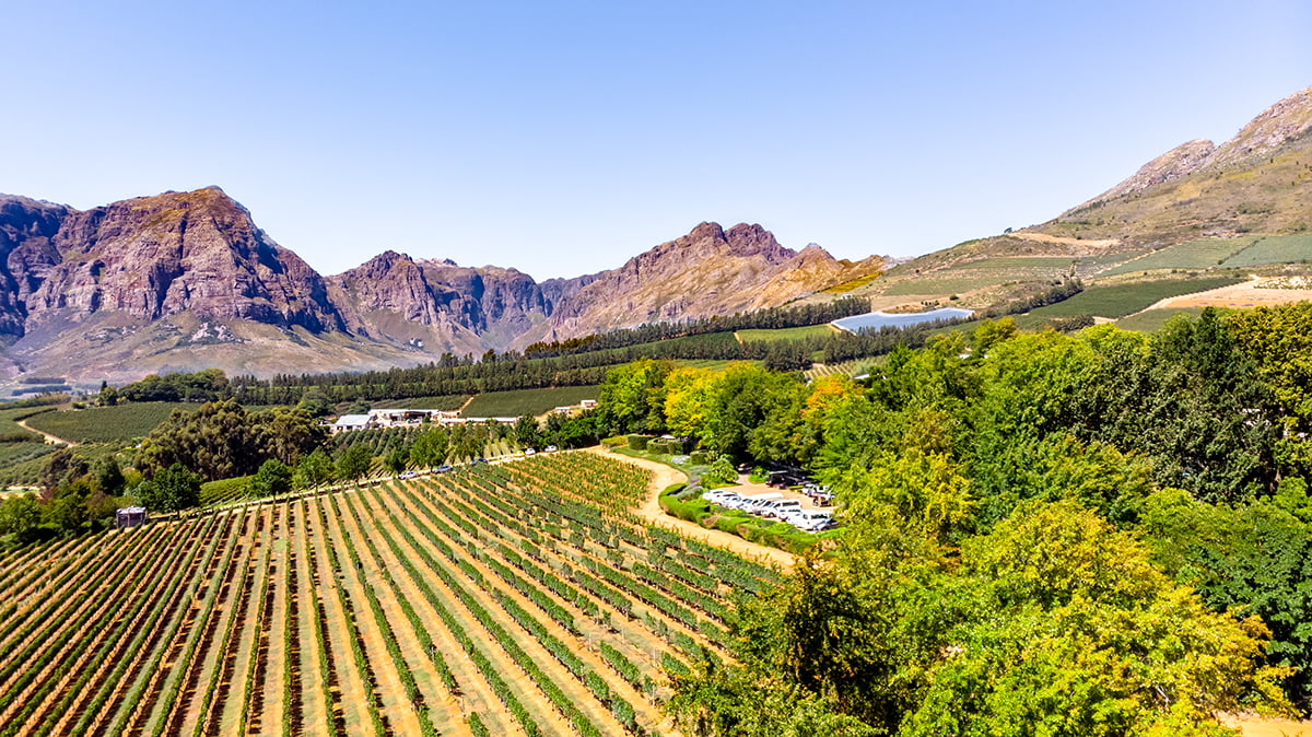 This pic shows the aerial view of Vineyards with mountains in background in Cape Town. The wine farms are famous in this area and produced large amount of wine. The pic is taken by drone and in daytime of march 2019.