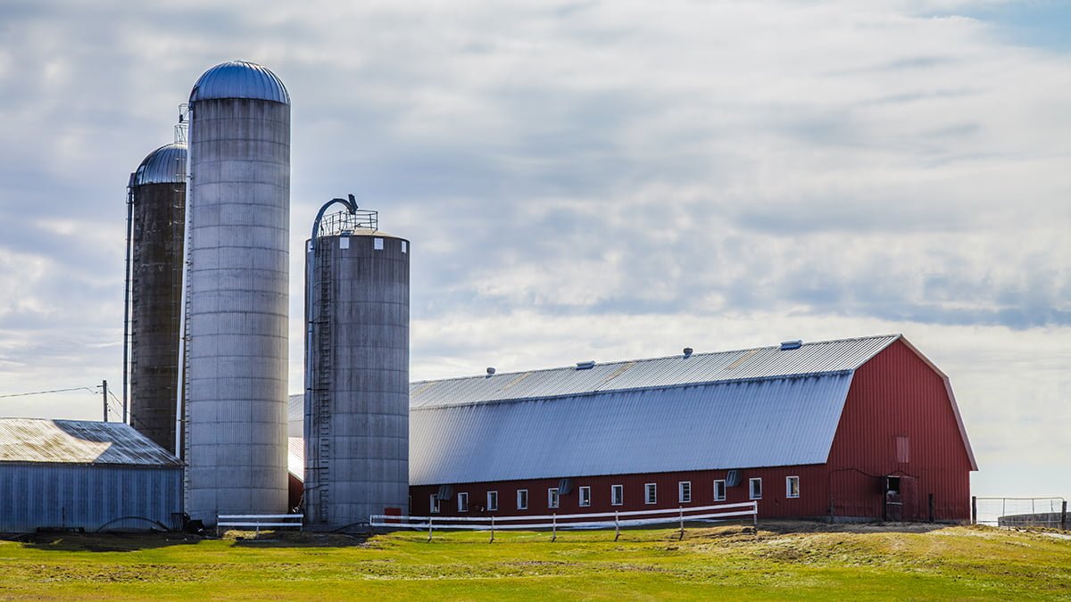 Traditional Red Farm and Silos - Food Industry