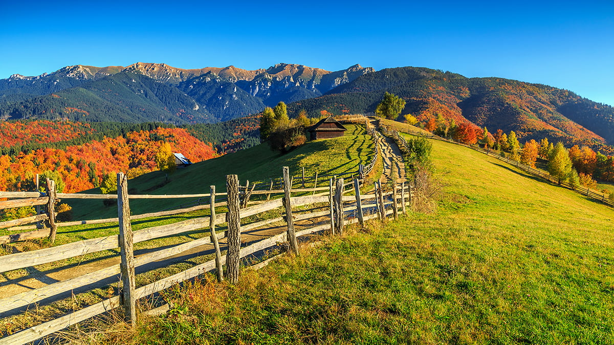Colorful autumn alpine landscape with green fields and high mountains,Bran,Transylvania,Romania,Europe