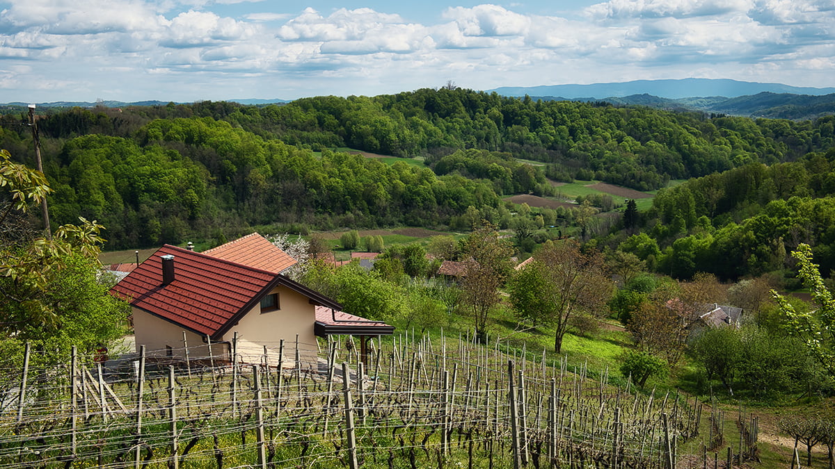 Quadrant Australia Croatia & Slovenia-vineyards-and-forest