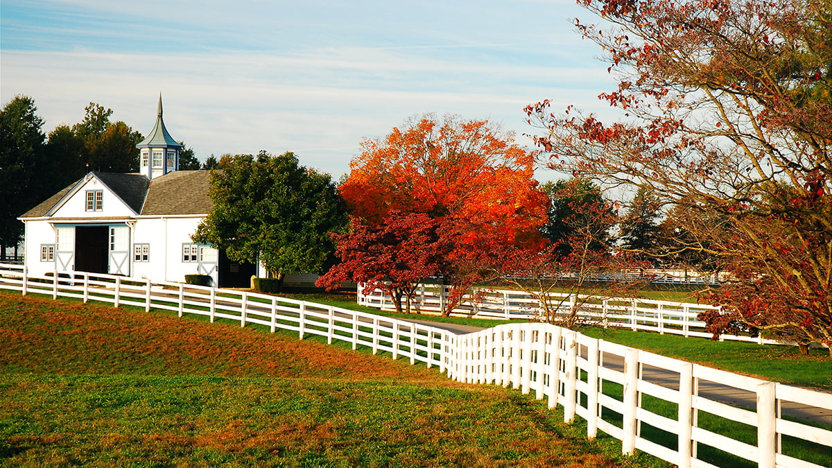Lexington, KY, USA October 29, 2009 A white post fence leads to a barn on a thoroughbred breeding farm in Blue Grass Country, outside of Lexington, Kentucky