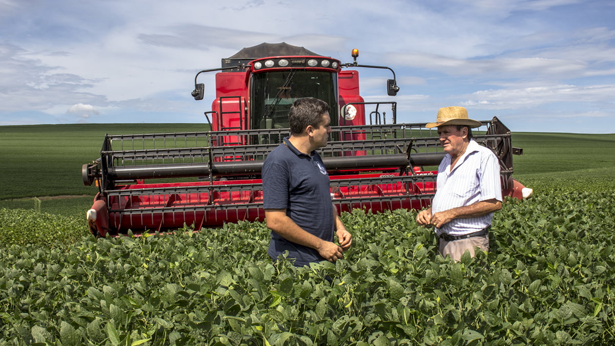 Parana, Brazil, January 07, 2015. farmer reviews a green soybean plantation, in Parana state, south of Brazil