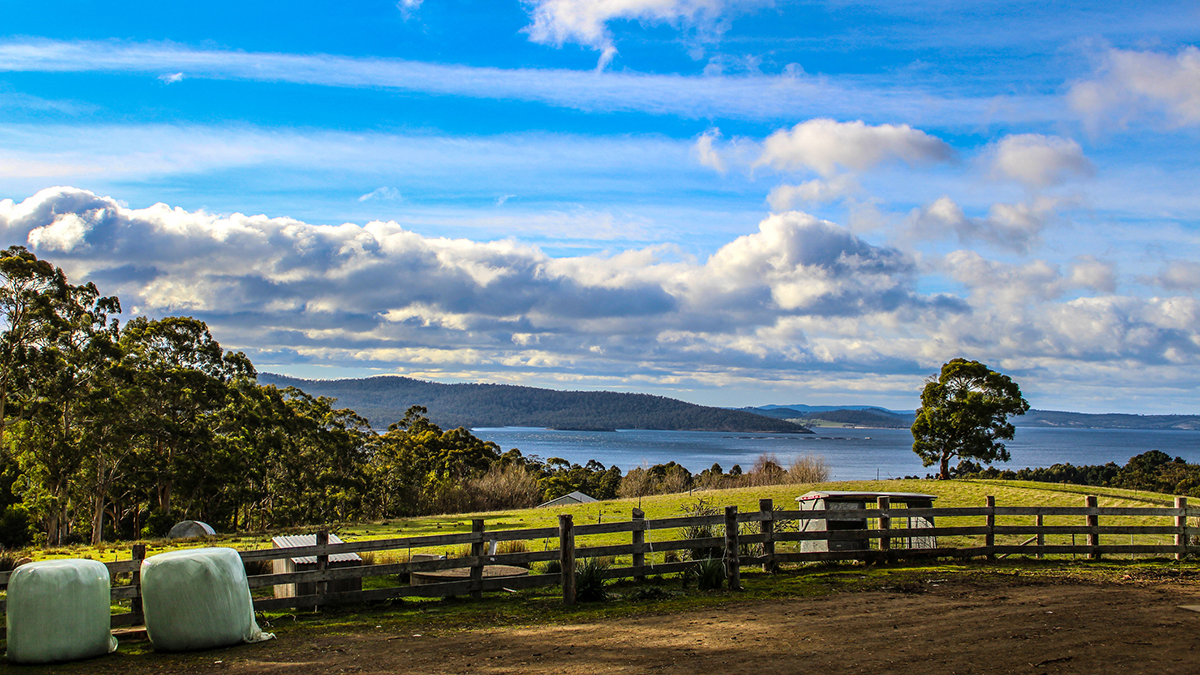 A peaceful Australian farm with an awesome scenery at the background. Shoot in Tasmania.
